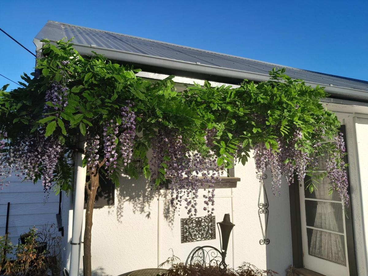 The Empty Nest Geraldine Exterior foto